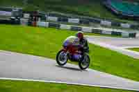 Vintage-motorcycle-club;eventdigitalimages;mallory-park;mallory-park-trackday-photographs;no-limits-trackdays;peter-wileman-photography;trackday-digital-images;trackday-photos;vmcc-festival-1000-bikes-photographs